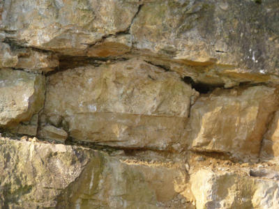 Foto von Ingrid Stober: Geklüfteter, leicht verkarsteter Hauptrogenstein (Breite: 2 m)